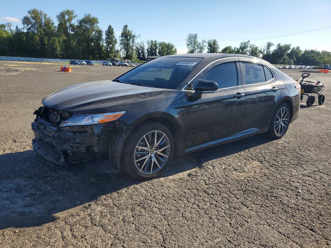 2024 TOYOTA CAMRY XLE