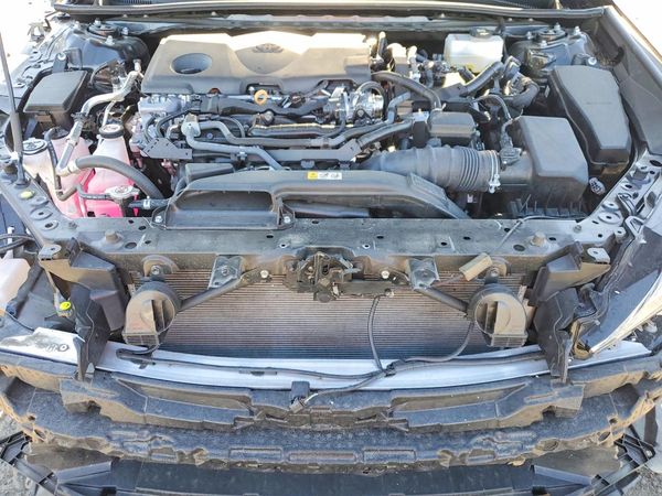 2024 TOYOTA CAMRY XLE