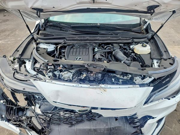2023 LEXUS RX 500H