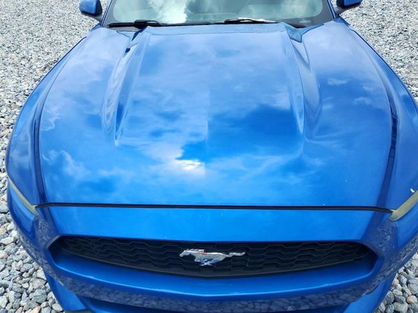 2017 FORD MUSTANG I4 Coupe