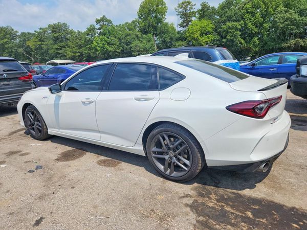 2025 ACURA TLX