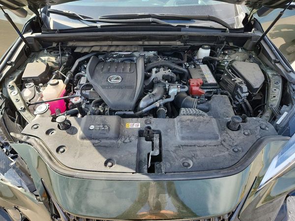 2025 LEXUS NX 350 Premium