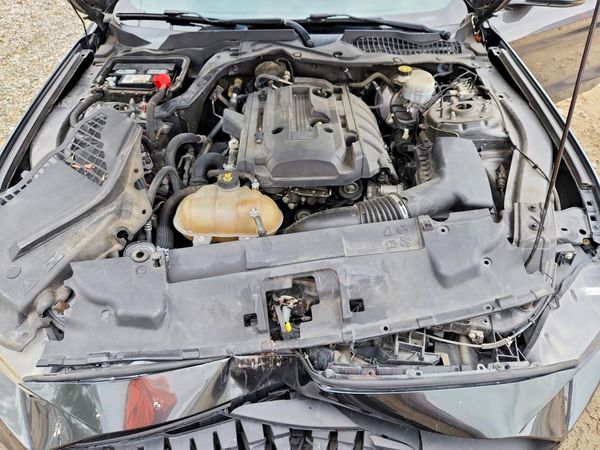 2019 FORD MUSTANG