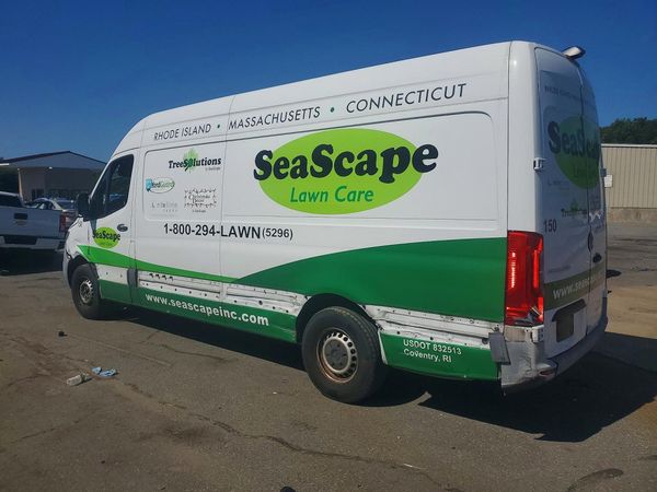 2019 MERCEDES-BENZ SPRINTER 907 (VS30)