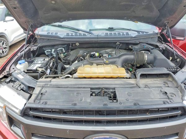 2019 FORD F150
