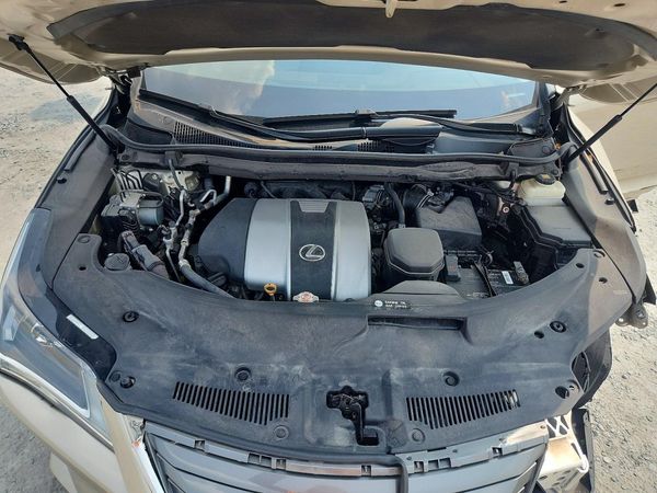 2019 LEXUS RX 350