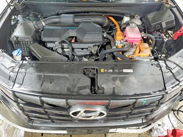 2023 HYUNDAI TUCSON Blue