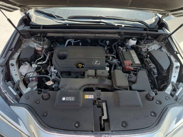 2023 LEXUS NX 250 Base