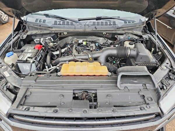 2019 FORD F150