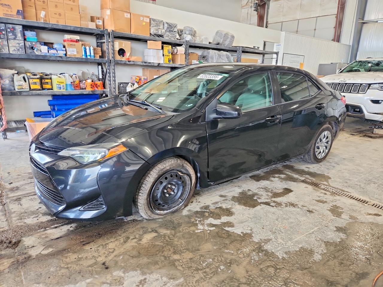 2019 TOYOTA COROLLA