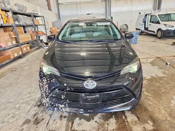 2019 TOYOTA COROLLA