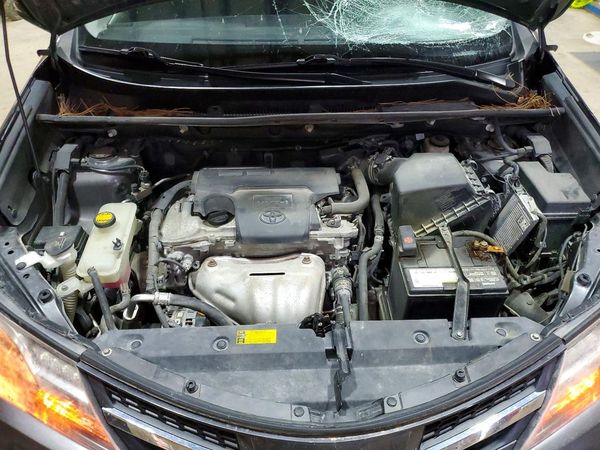 2015 TOYOTA RAV4 XLE (M Grade)