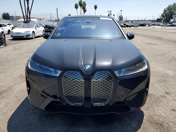 2025 BMW IX