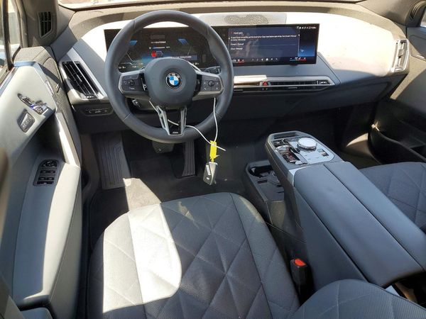 2025 BMW IX