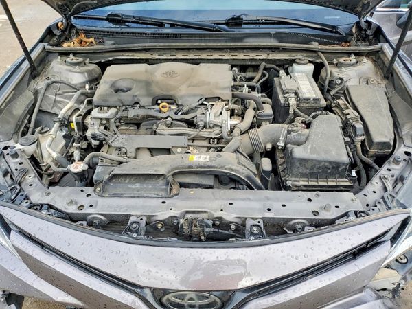 2019 TOYOTA CAMRY L/LE/SE/XLE