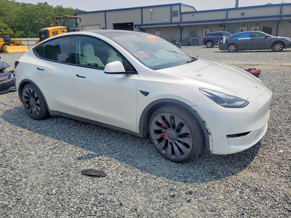 2025 TESLA MODEL Y