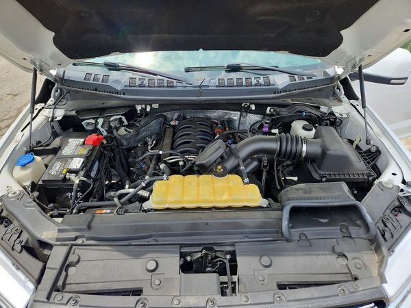 2019 FORD F150