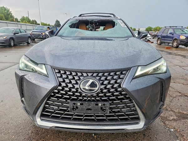 2025 LEXUS UX 300H