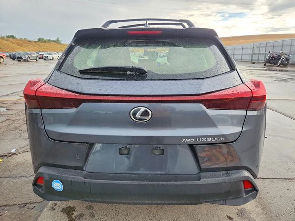 2025 LEXUS UX 300H