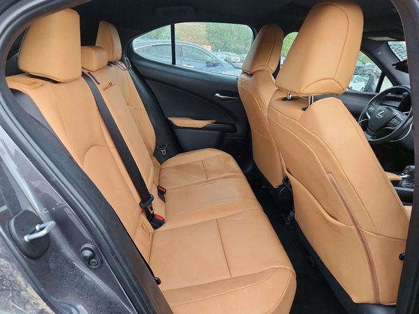 2025 LEXUS UX 300H