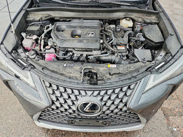 2025 LEXUS UX 300H