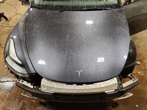 2025 TESLA MODEL Y