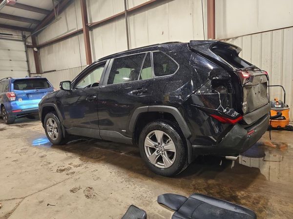 2024 TOYOTA RAV4 XLE — DSRA