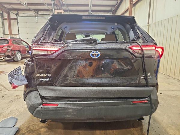 2024 TOYOTA RAV4 XLE — DIRR