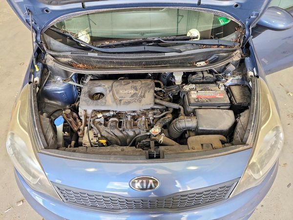 2016 KIA RIO
