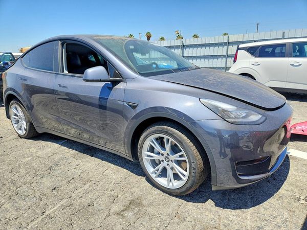 2021 TESLA MODEL  Y