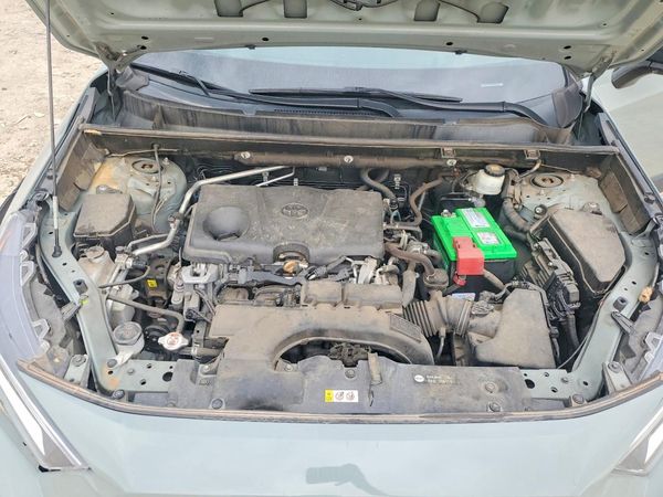 2019 TOYOTA RAV4