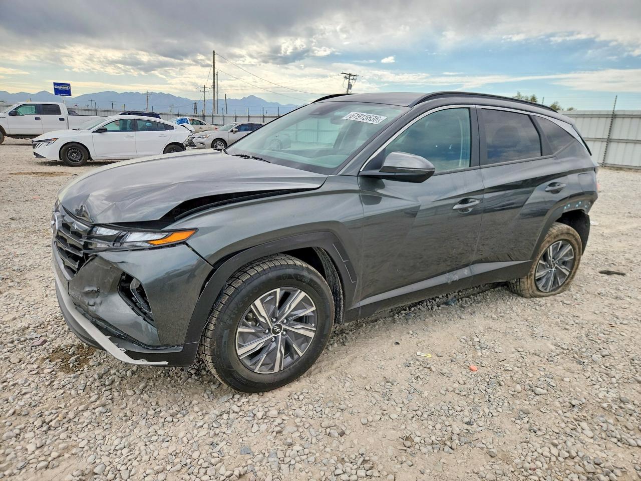 2022 HYUNDAI TUCSON Blue
