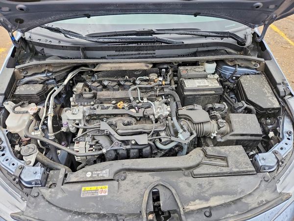 2023 TOYOTA COROLLA