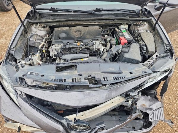 2019 TOYOTA CAMRY L/LE/SE/XLE