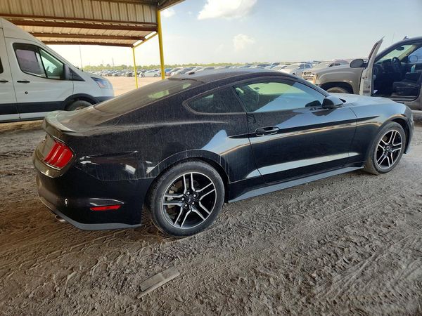 2019 FORD MUSTANG