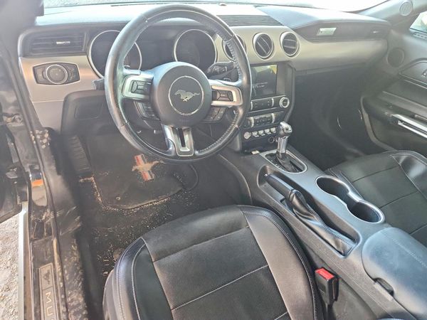 2019 FORD MUSTANG