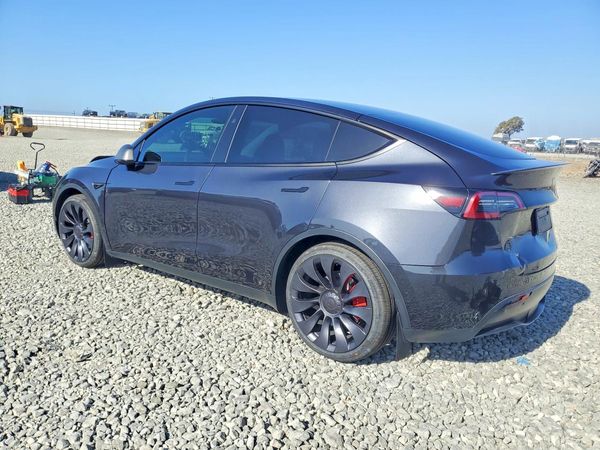 2025 TESLA MODEL Y