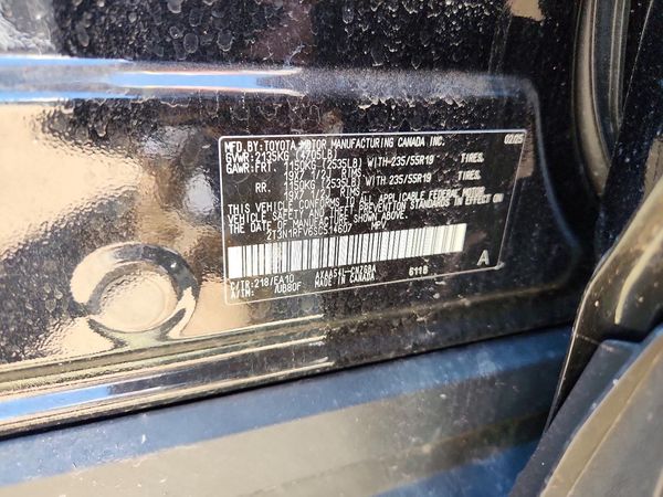 2025 TOYOTA RAV4