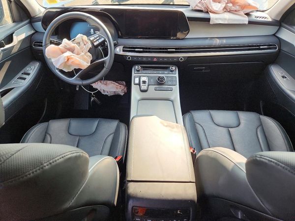 2025 HYUNDAI PALISADE SEL — CKPT