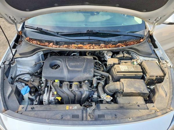 2019 KIA RIO LX, S