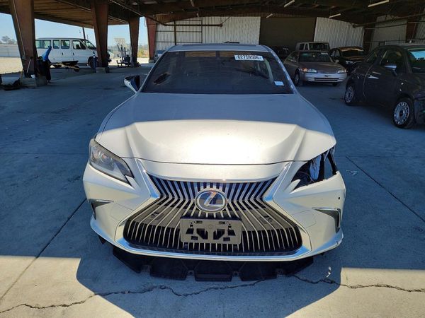 2019 LEXUS ES 300h
