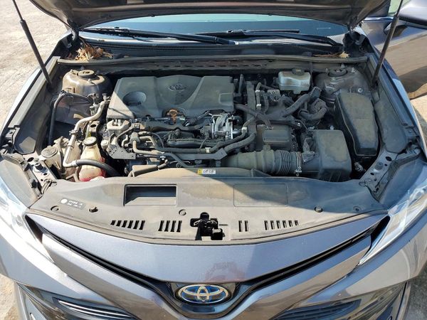 2019 TOYOTA CAMRY LE Hybrid