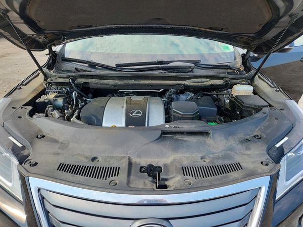 2019 LEXUS RX 350 Standard