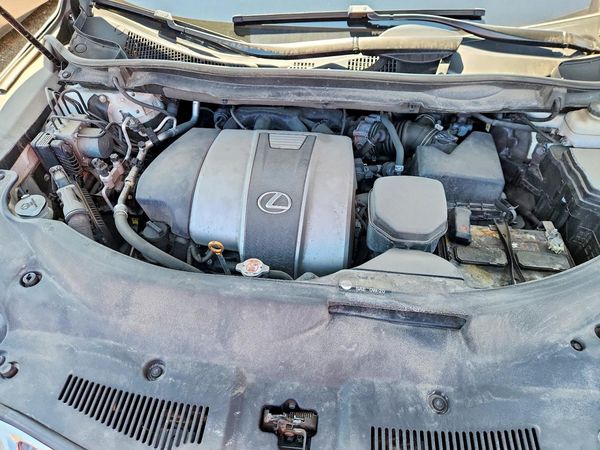 2020 LEXUS RX 350 Premium