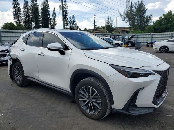 2023 LEXUS NX