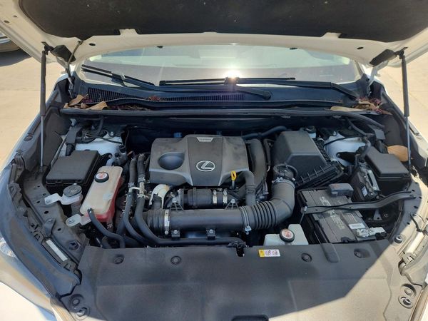 2021 LEXUS NX 300 300 Comfort