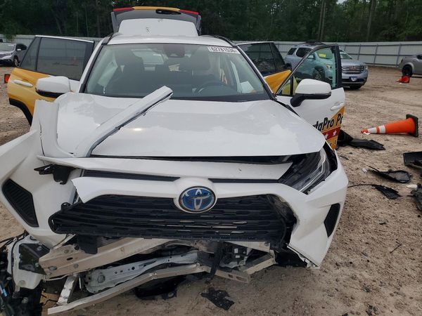 2024 TOYOTA RAV4 LE — DIRF