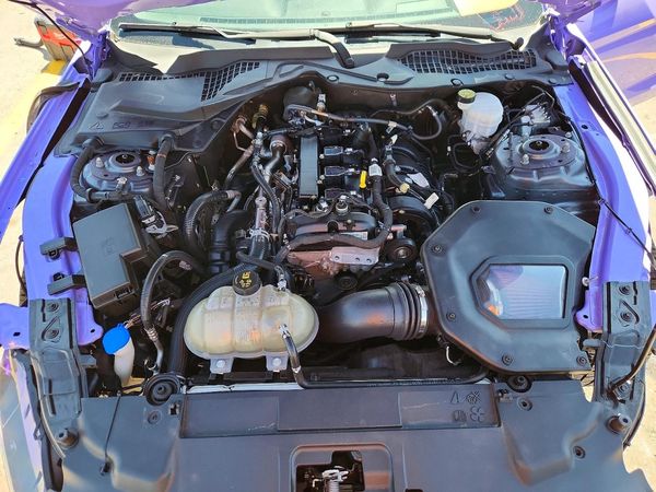 2021 FORD MUSTANG I4 Coupe