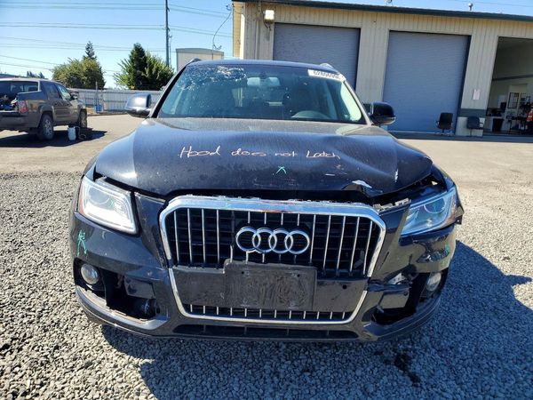 2013 AUDI Q5 Premium Plus