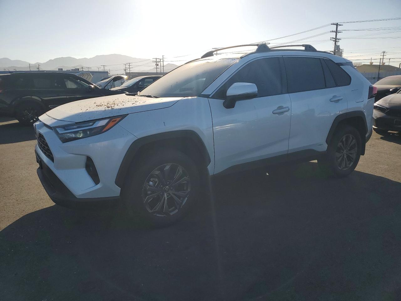2024 TOYOTA RAV4